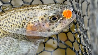 Advantages of Indicator rigs for trout fishing [upl. by Akcira]