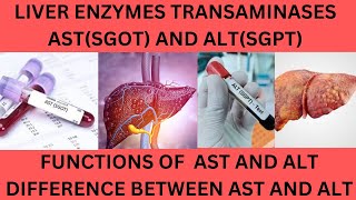 LIVER TRANSAMINASES AST SGOT AND ALTSGPTNORMAL RANGES FUNCTIONS AND CAUSES OF HIGH AST AND ALT [upl. by Hewart]