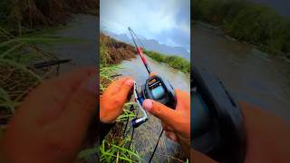 Saving Invasive Fish TRAPPED in HURRICANE FLOODshorts fishing carpfishing viralvideo [upl. by Lanam]