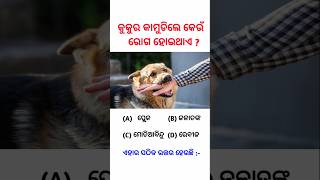 କୁକୁର କାମୁଡ଼ିଲେ କେଉଁ ରୋଗ ହୋଇଥାଏ   shorts gk knowledge odiagk [upl. by Laeira]