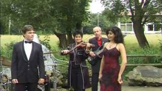 Partyband  Tanzband  Hochzeitsband  Liveband  Coverband  quotLa Donna e Mobilequot  PSO [upl. by Nalyt]