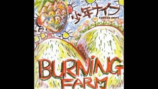 Shonen Knife  Burning Farm 1983 Full Album [upl. by Ahsied626]