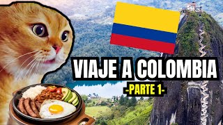 VIAJE A COLOMBIA  parte 1 meme de gatos [upl. by Quar824]