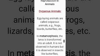 What are Oviparous Animals Class 8 Science Chapter 9 [upl. by Nnylatsirk875]