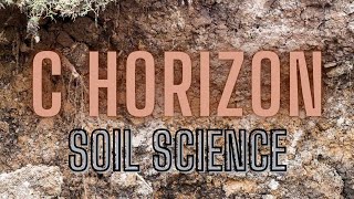 All About Soil C Horizon [upl. by Tnayrb309]