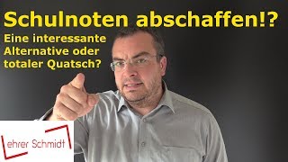 Schulnoten abschaffen Gute Idee oder totaler Quatsch  Lehrerschmidt [upl. by Ainekahs]