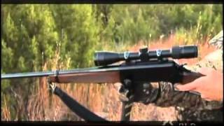 Browning BLR Rifle Overview [upl. by Eenar262]