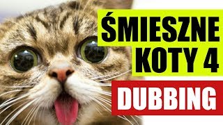 ŚMIESZNE KOTY 4 ❤️ DUBBING MATT OLECH [upl. by Alfi771]