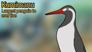 Kumimanu The largest penguin to ever live [upl. by Aneras374]