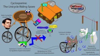 Cyclosporine [upl. by Dougy389]