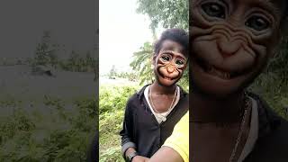 Monkey Comedy Short Reels Video 😂🐒 funny comedy monkey viralvideo [upl. by Aramal58]