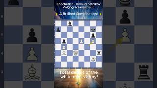 Brilliant Chess Combination Worthy of Every Chess Book [upl. by Eednas33]