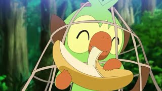 Grookey cute momentsep 76 [upl. by Gnni]