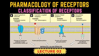 Types of Receptors  Receptors Pharmacology Part 2  GProtein Receptor By Muneeb [upl. by Ardnuasac722]