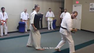 025  Mae Geri  Kaiten Ushiro Geri Renraku Front KickBack Kick Combination [upl. by Acinor]