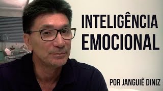 INTELIGÊNCIA EMOCIONAL POR JANGUÊ DINIZ [upl. by Werby]