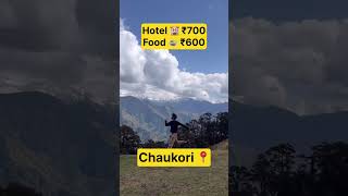 Chaukori Uttrakhand Tour Guide [upl. by Torrlow514]