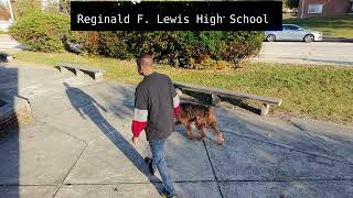 DJI Neo Airedale Terrier Waling Reginald F Lewis High School Baltimore [upl. by Oirramed]