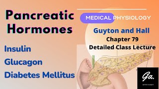 Hormones of Pancreatic Gland  Insulin  Glucagon Islets of Langerhans  Diabetes Mellitus [upl. by Ahsatan]