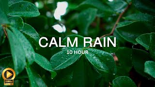 10 Hour  Spiritual Rain Meditation  Insomnia  Study  Focus  Spa  Calming Background Ambience [upl. by Abebi947]