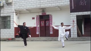 Practicing Wudang 108 Shi Taiji Quan  Wudang Sanfeng Pai [upl. by Collen276]