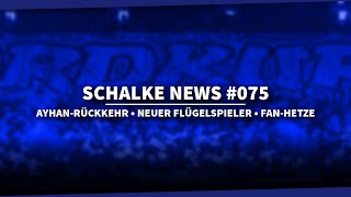 Kommt Ayhan zurück • Neuer Flügelspieler gefunden • Hetze gegen Spieler  Schalke NEWS [upl. by Marje]