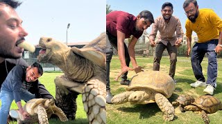 100 SAAL KA KACHWA 😲 tortoise 100 years old [upl. by Assilym]