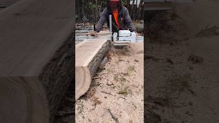 milling 8 long red oak log with Alaskan chainsaw mill and Stihl ms881 shorts [upl. by Trakas]