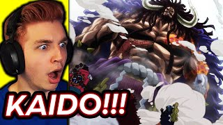 KAIDO REVEALED PEAK ANIME one piece reaction [upl. by Naji817]