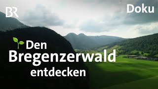 Urlaub und Wandern im unbekannten Bregenzerwald  CheeseTrail  Architektur  Freizeit  Doku  BR [upl. by Pape]