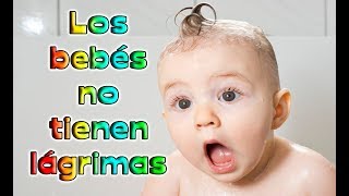 10 Datos Curiosos De Los Bebés [upl. by Neerol]