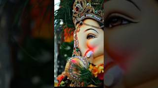 New song video status l nishitiwari l viralvideo bappa shortsfeed nishitiwari l trending shor [upl. by Lomax]