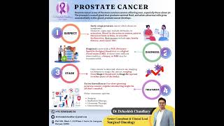 Understanding Prostate Cancer Early Detection Diagnosis and Treatment Options [upl. by Noek]