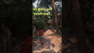 हरवली पाखरे  क्रिकेट प्रेमी  Haravali Pakhare  Cricket lovers [upl. by Aramanta]