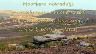 Heathland and Moorland biomes Movie [upl. by Aziul]