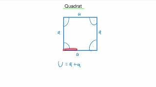 Quadrat  Eigenschaften Umfang Flächeninhalt [upl. by Dnalon44]