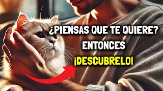 11 señales de que tu gato NO TE QUIERE aunque creas que sí [upl. by O'Dell]