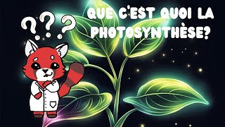 Que cest quoi la photosynthèse [upl. by Sihun]