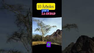 Hoy te presento los 10 mejores árboles mexicanos para la ciudad ecology agriculturafamiliar [upl. by Siduhey]