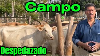 Amlo Destrozó el Campo TAMBIÉN🐄Primero los PobresJodidoscon Dádivas y Sin Producir👨🏼‍🌾 [upl. by Imehon]