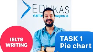 IELTS WRITING TASK 1  PIE CHART ÖRNEĞİ [upl. by Acinnej331]