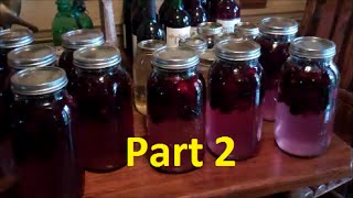 How To Make Easy Homemade WinePart 2 Making Blackberry Wine [upl. by Yerffoeg494]