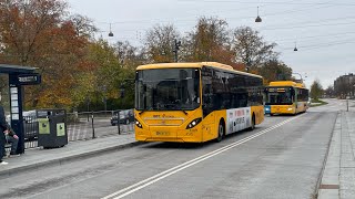 quotVolvo B8RLE60 Wroclaw 8900LEquot 4x2 4109 ZF Ecolife Linje 184 kører mod Holte St [upl. by Ociral]