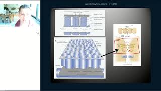 FISIOLOGIA RENAL  AULA 5 Função Tubular  Reabsorção e Secreção [upl. by Haliehs448]