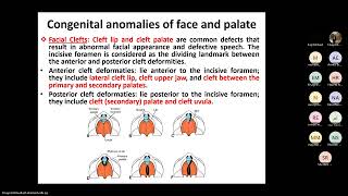 Development of Head amp Neck Part 3 Face Palate Nose Salivary Glands and Thyroid gland [upl. by Olvan]