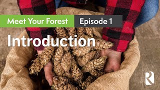 Meet Your Forest  Episode 1  Introduction [upl. by Tom]