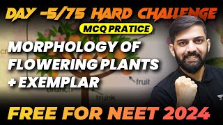 Morphology of Flowering Plants  Top 250 MCQs  Day 575  75 Hard Challenge  NEET 2024 [upl. by Alpers421]