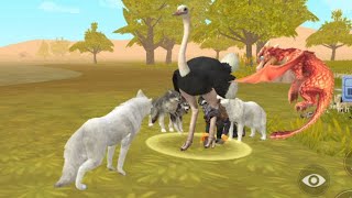 Wildcraft animal sim online  Wolf in Savannah lakes [upl. by Yadnil232]