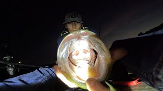 Northern Bass INHALE Reaction Baits Wisconsin Kayak Fishing [upl. by Amandy705]