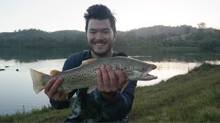 Catch and Cook  Eildon Pondage huge trout on tassie devil [upl. by Burgess833]